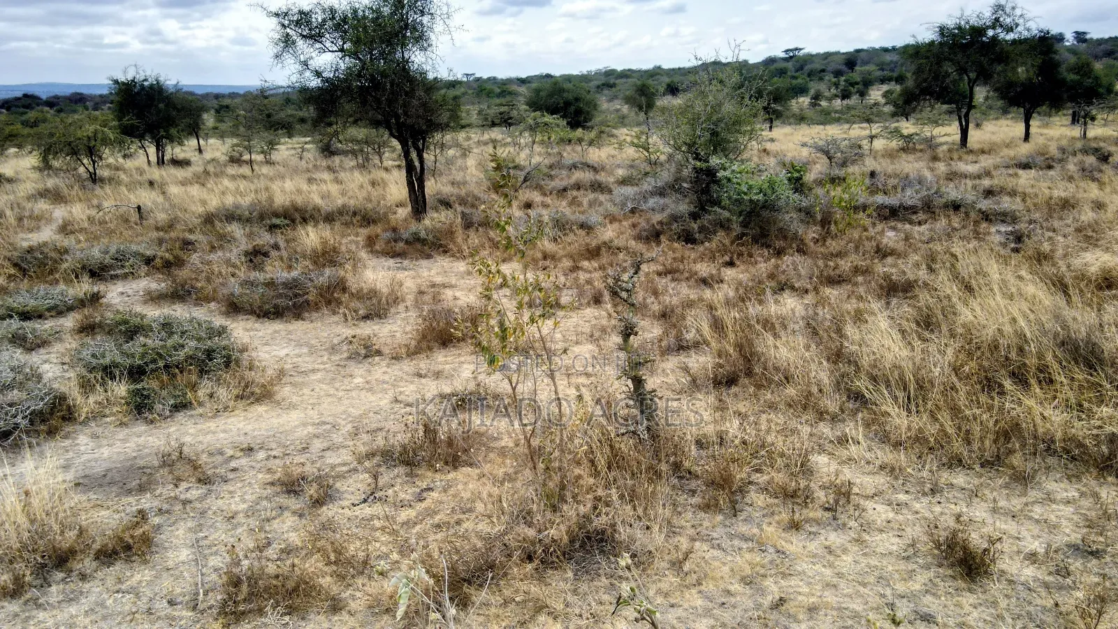 8 Acres Imaroro at 600,000kshs Per Acre in Imaroro