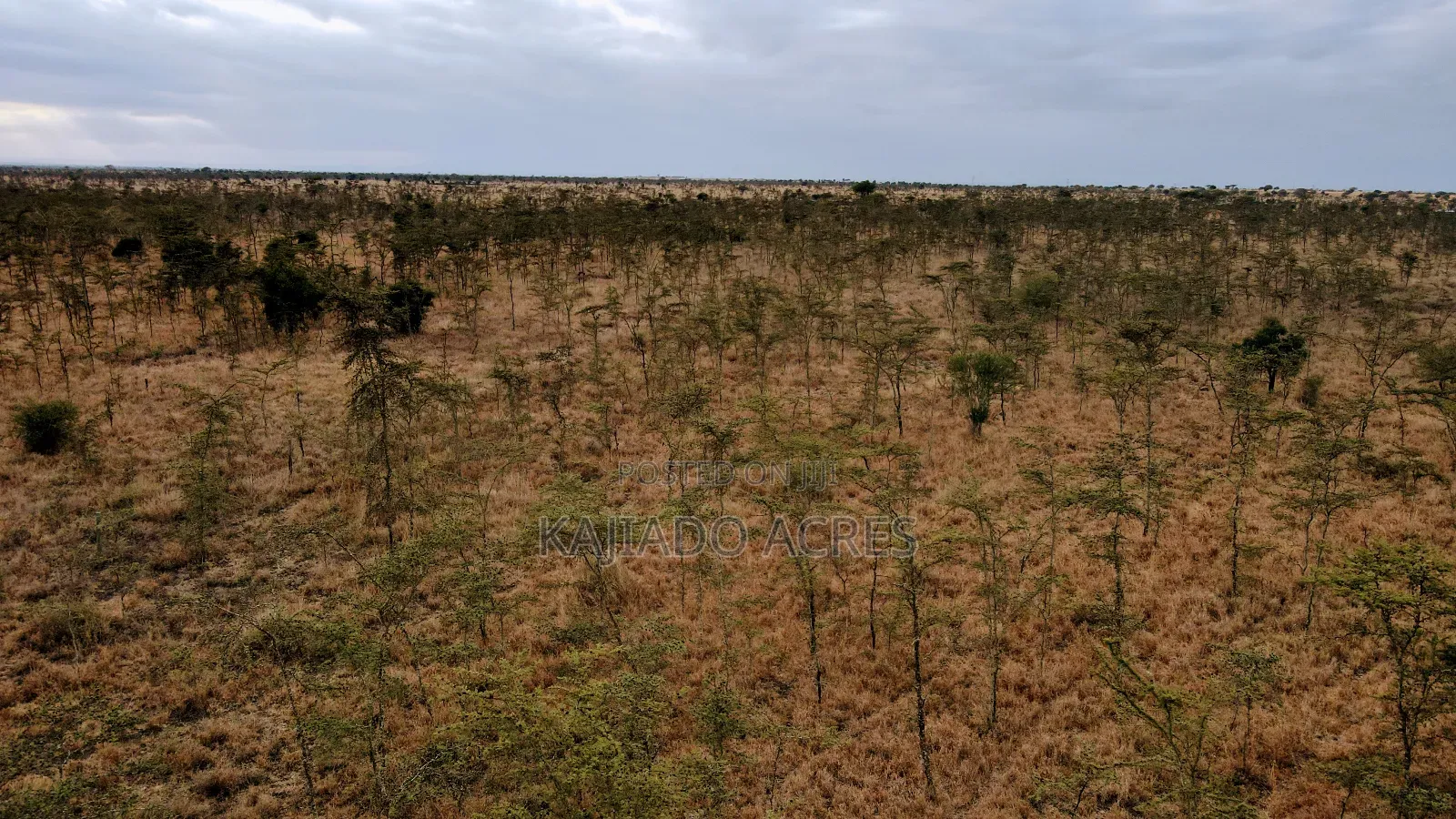 10 Acres Touching Imaroro Konza Road at 850,000ksh Per Acre in Imaroro