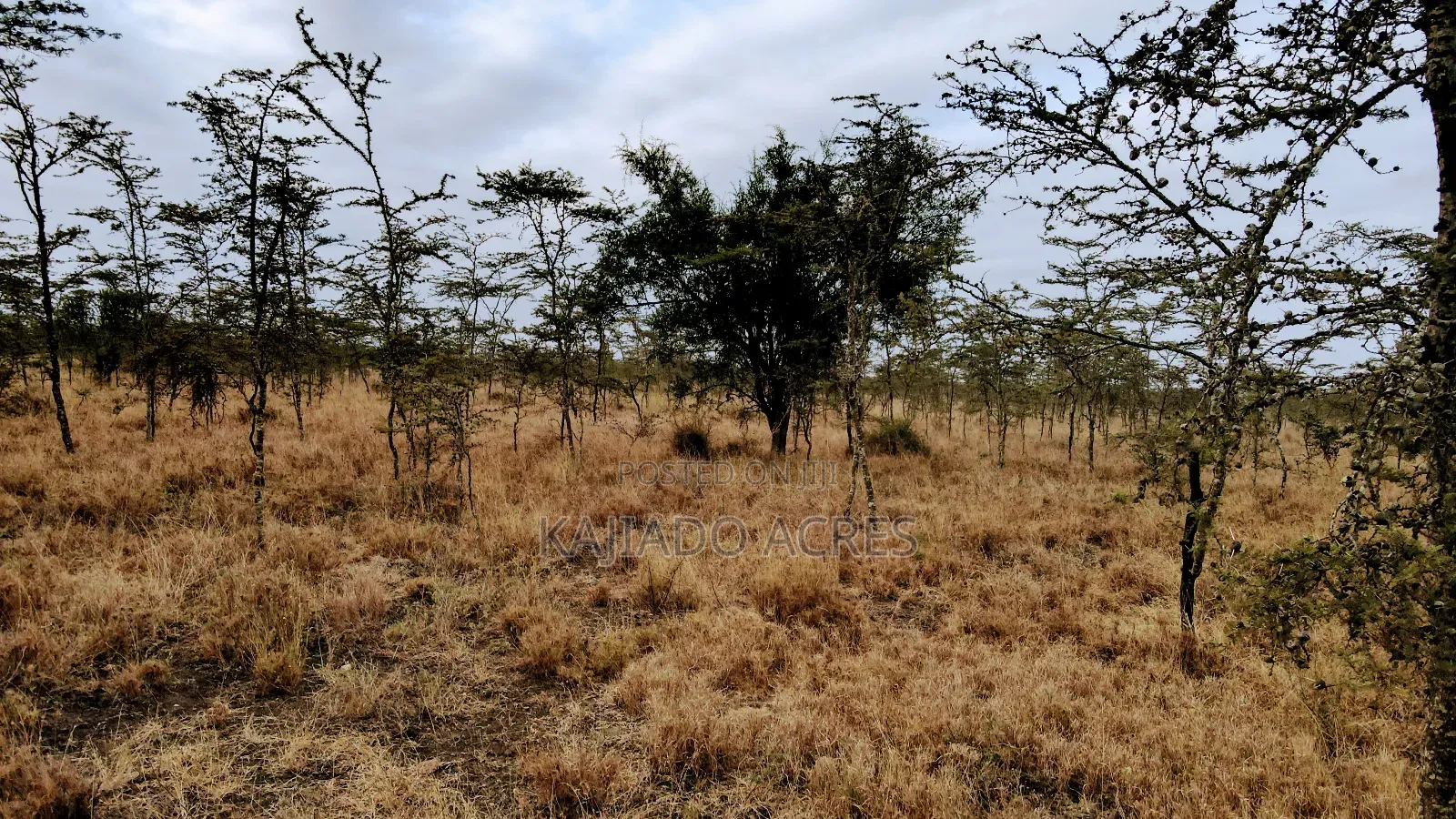 10 Acres Touching Imaroro Konza Road at 850,000ksh Per Acre in Imaroro