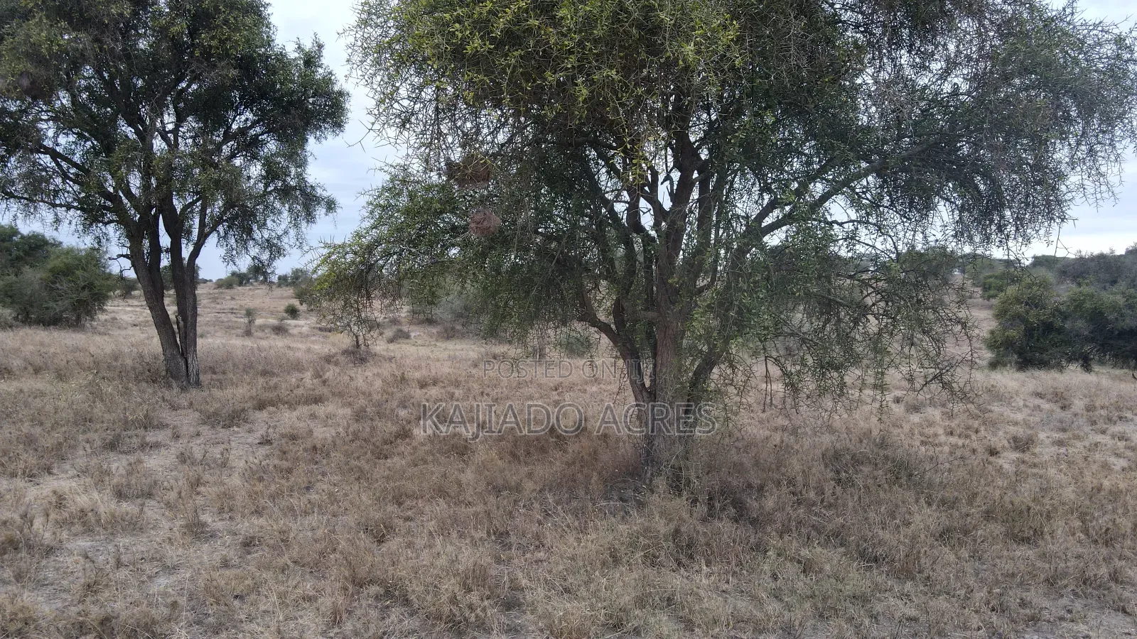 40 and 100 Acres Imaroro- Konza Road in Imaroro