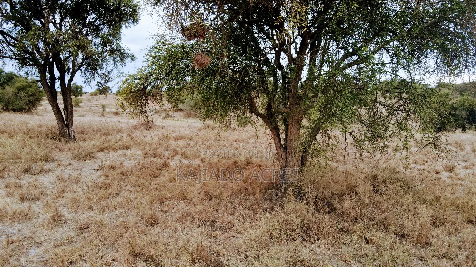 40 and 100 Acres Imaroro- Konza Road in Imaroro