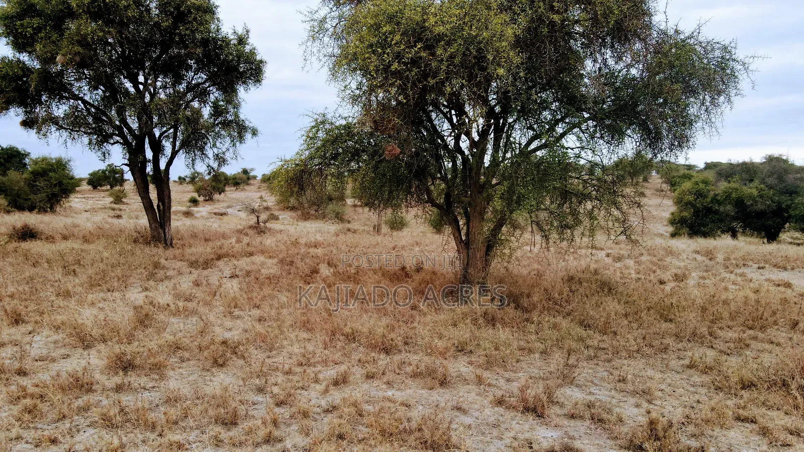 40 and 100 Acres Imaroro- Konza Road in Imaroro