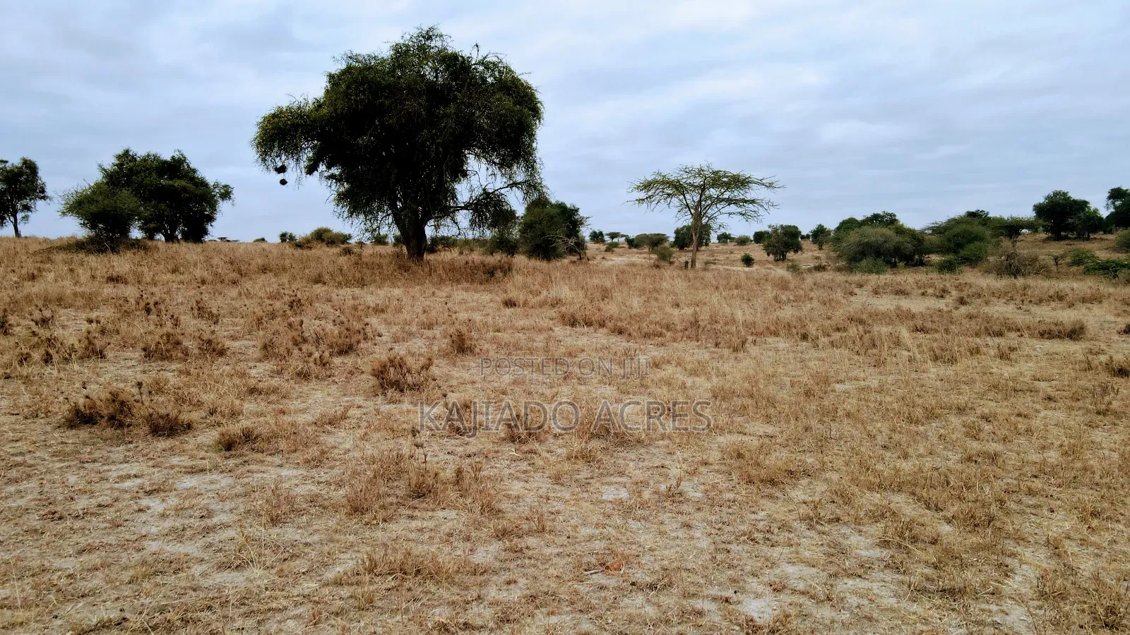 40 and 100 Acres Imaroro- Konza Road in Imaroro