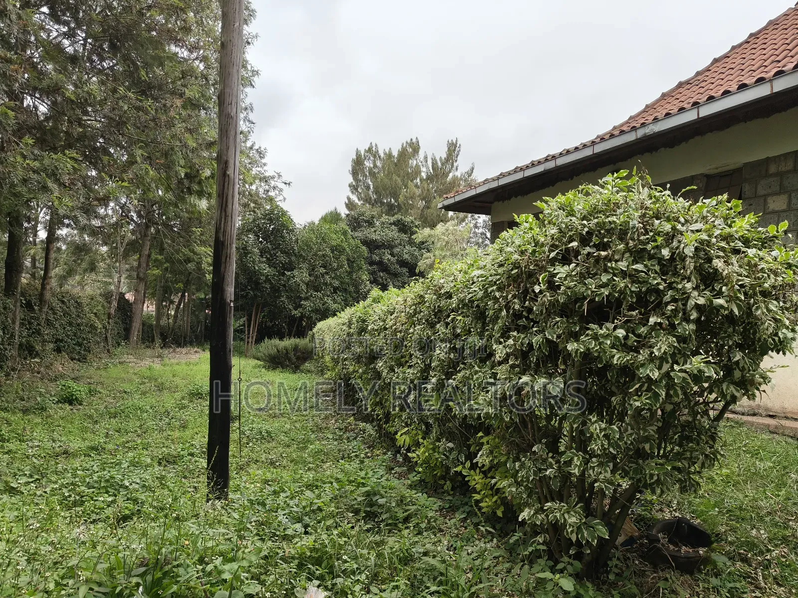 4bdrm Bungalow in Ngong 46, Oluulua for sale in Oluulua