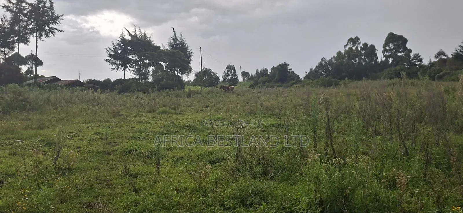 2.5 Acres Land for Sale in Gilgil in Naivasha
