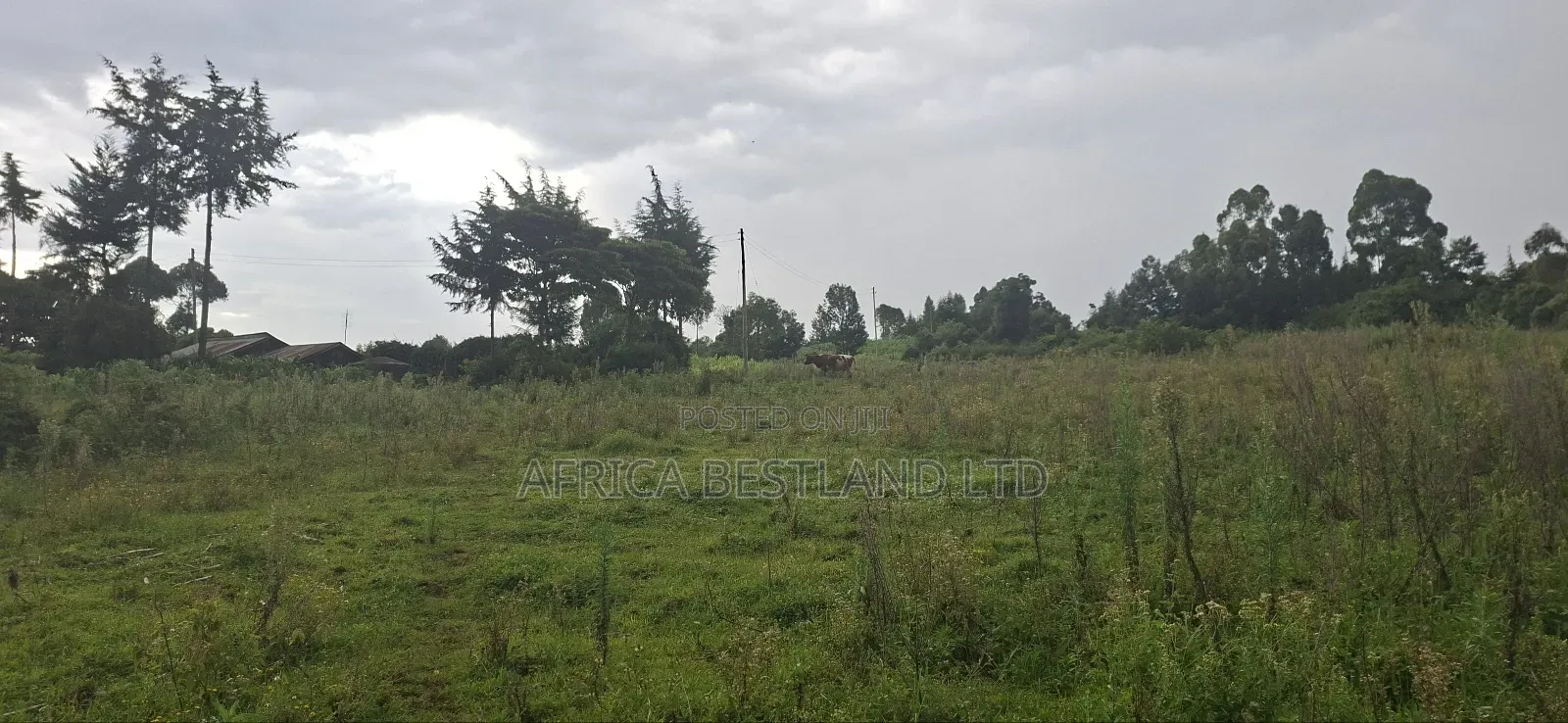 2.5 Acres Land for Sale in Gilgil in Naivasha