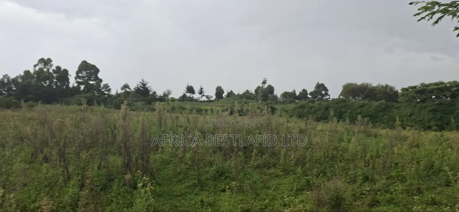 2.5 Acres Land for Sale in Gilgil in Naivasha