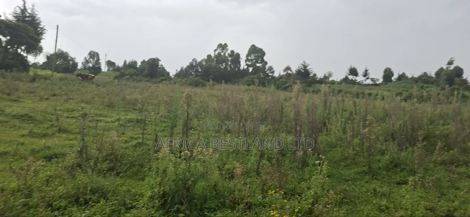 2.5 Acres Land for Sale in Gilgil in Naivasha