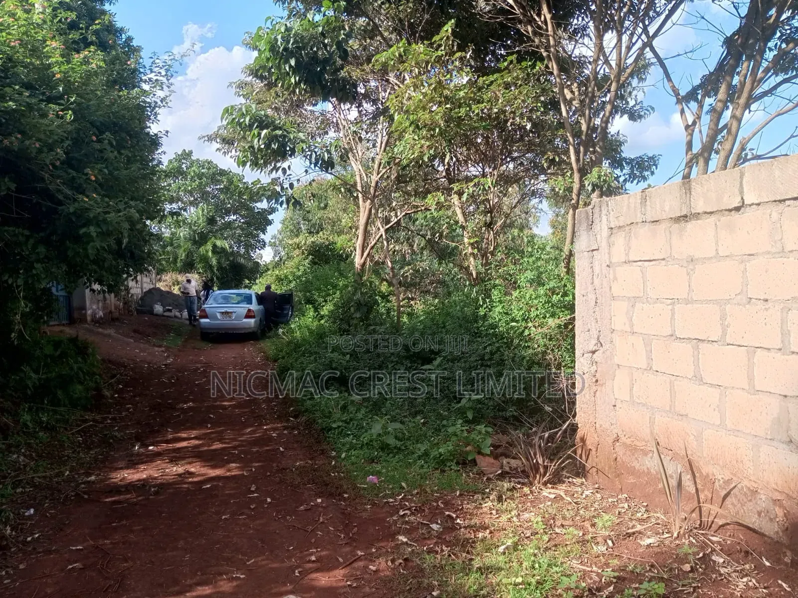 50 by 100 Plots for Sale on Kianjogu in Ndenderu
