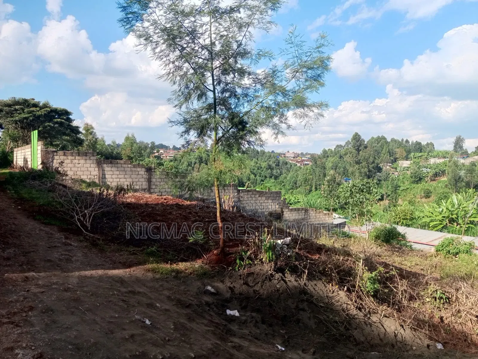 50 by 100 Plots for Sale on Kianjogu in Ndenderu