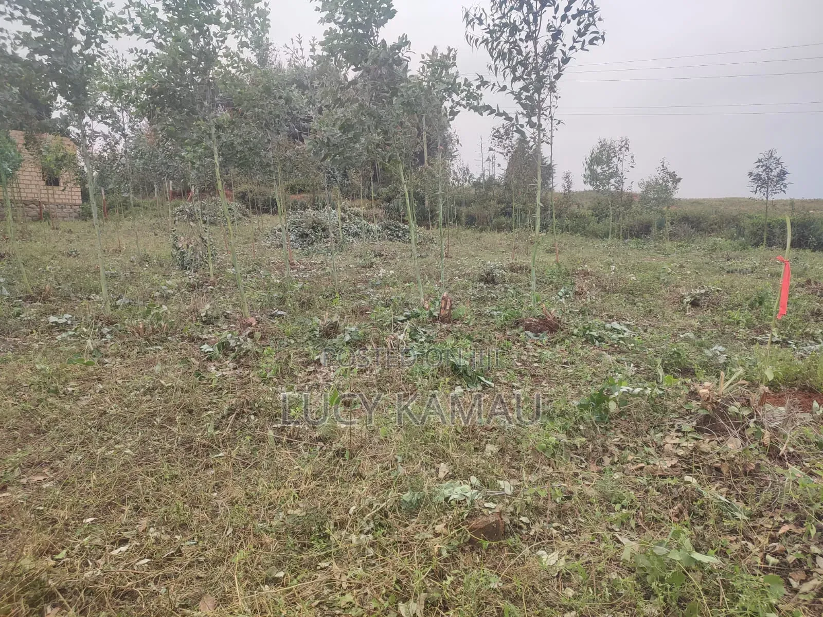 6 Acre Subdivided in 50x100 Plots for Sale in Kikuyu, Thigio in Kikuyu