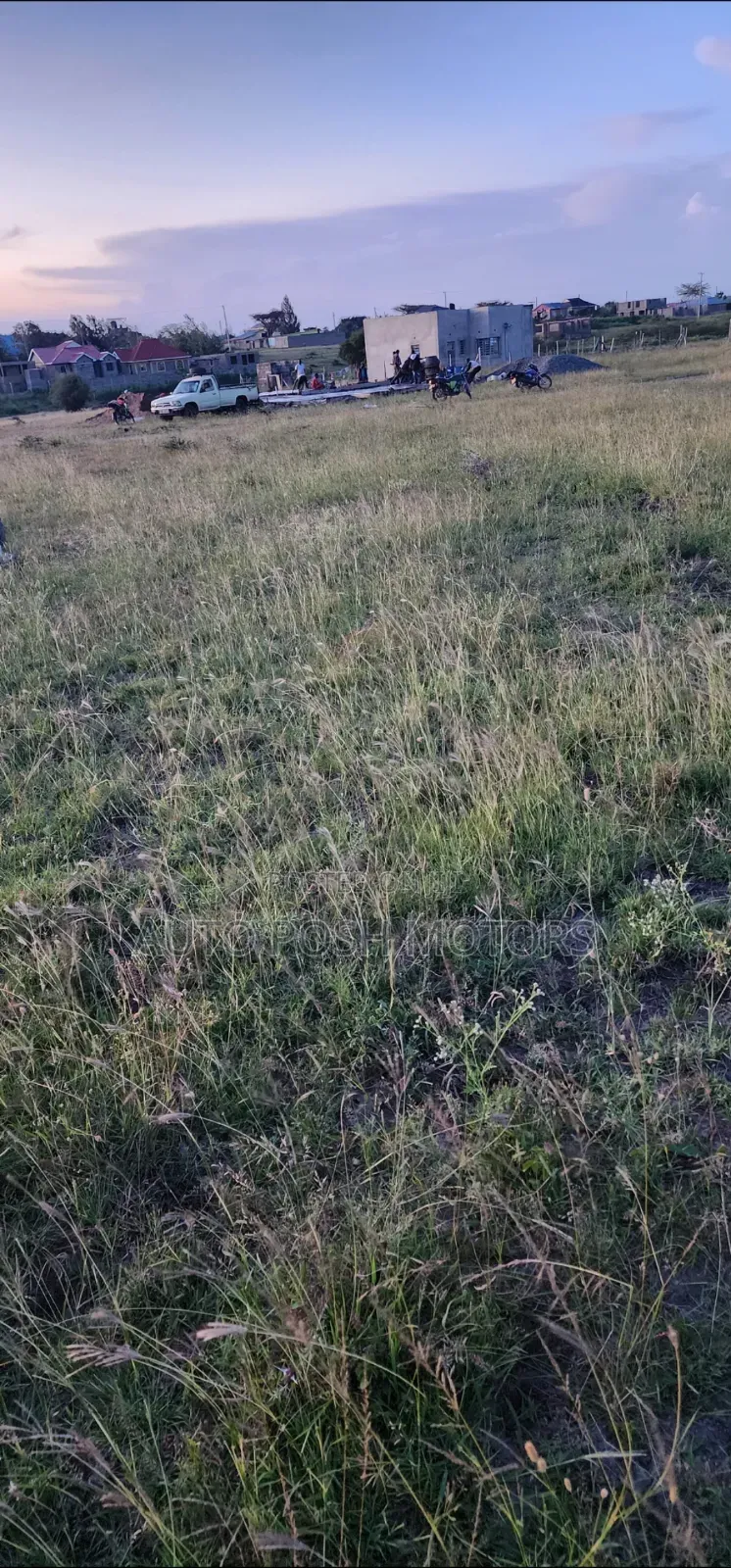 Kamulu Mutalia in Ridgeways