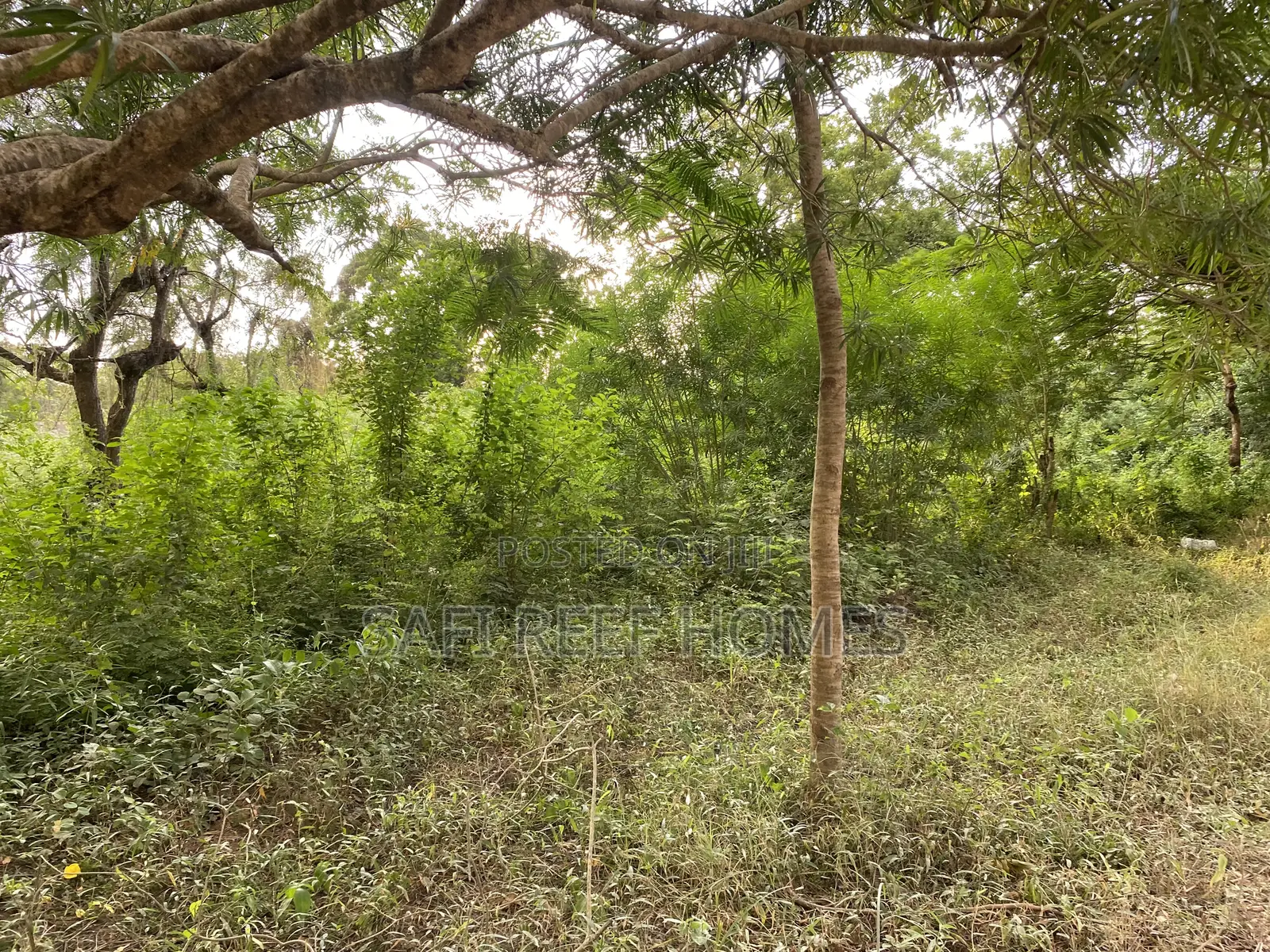 1/4 of Acre for Sale at the Shamba in Mtwapa