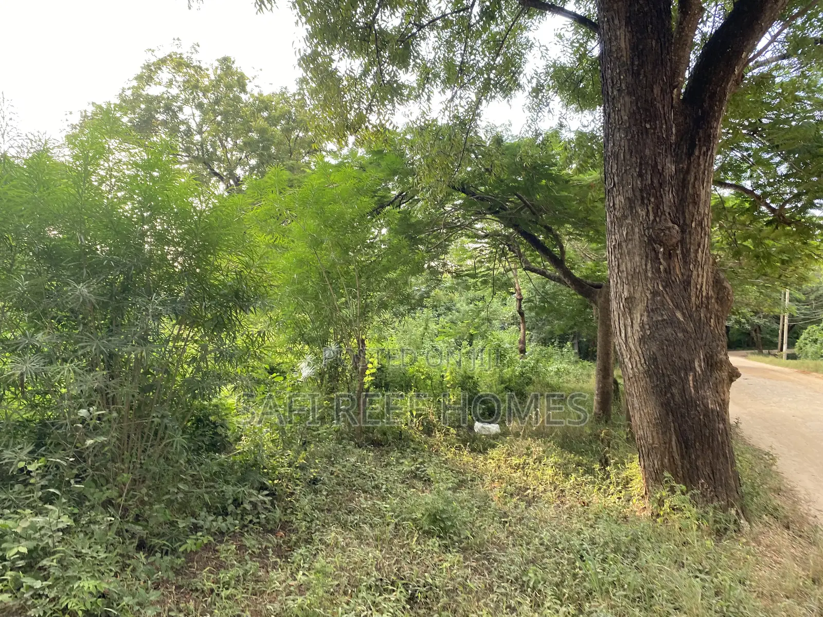 1/4 of Acre for Sale at the Shamba in Mtwapa