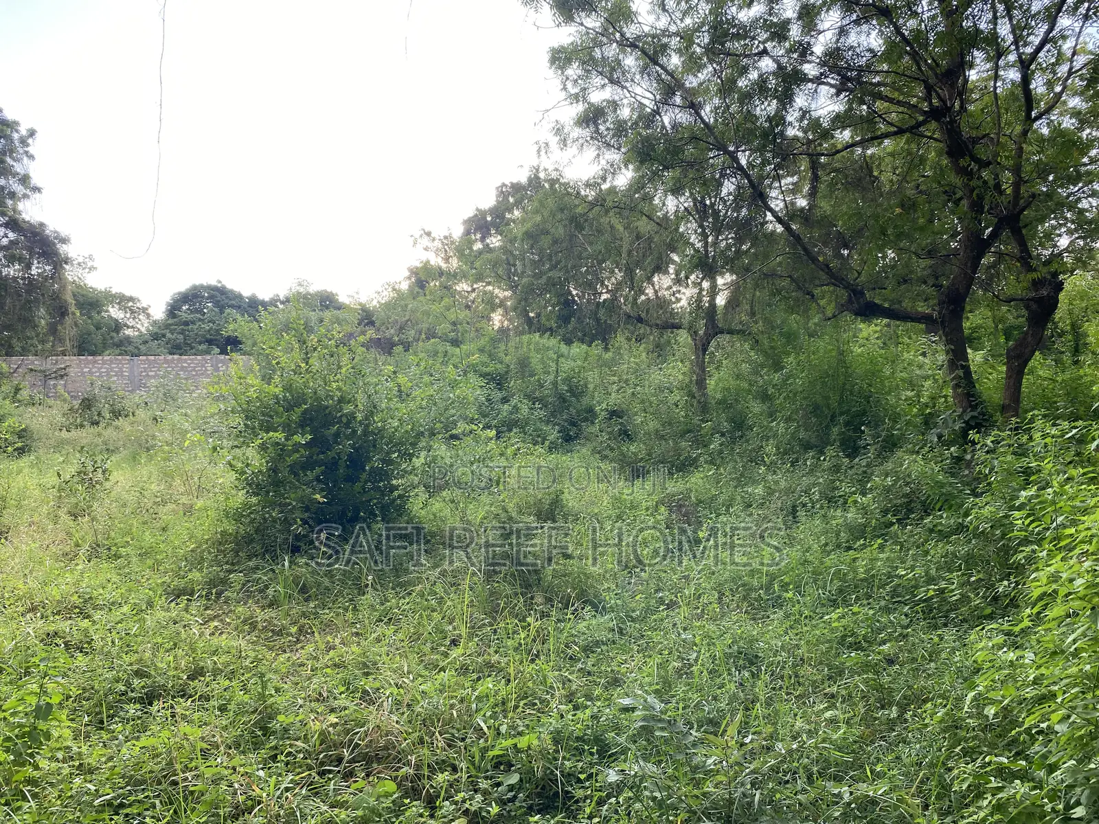 1/4 of Acre for Sale at the Shamba in Mtwapa