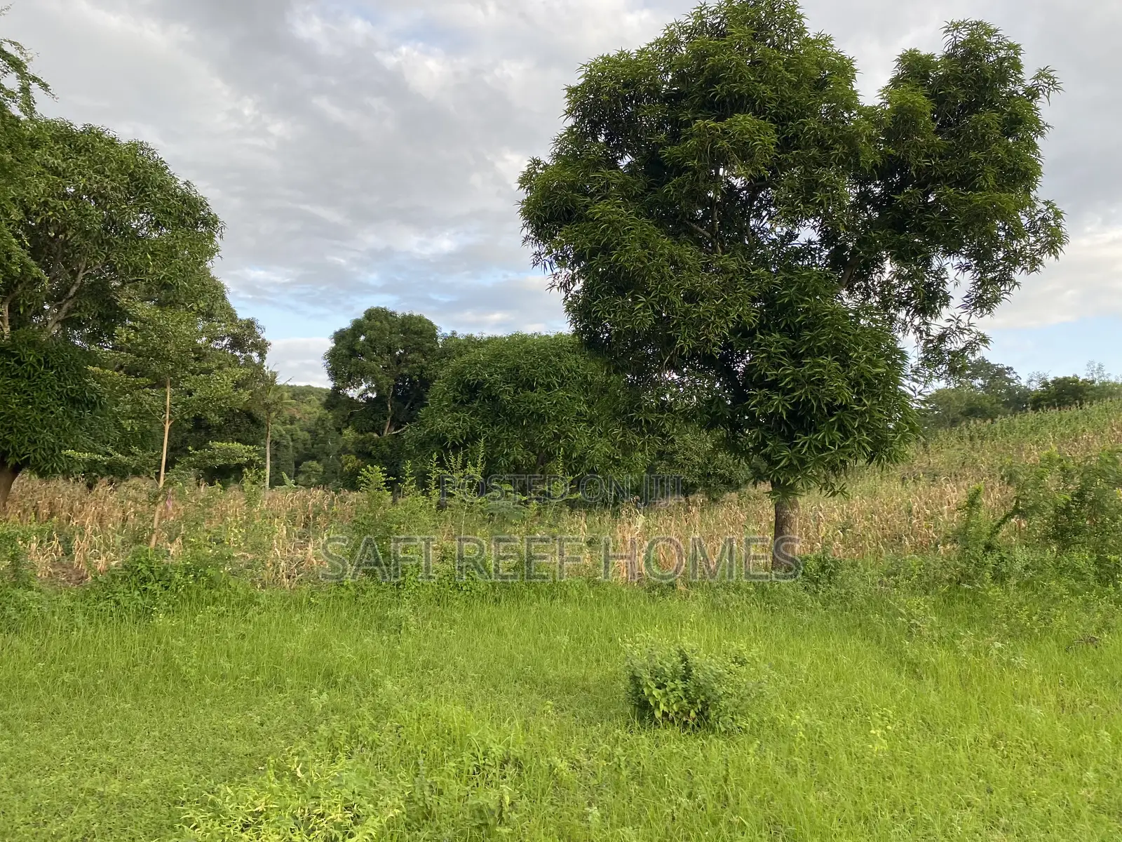 3 Acres for Sale Mtwapa Mtepeni Creek Side in Mtwapa