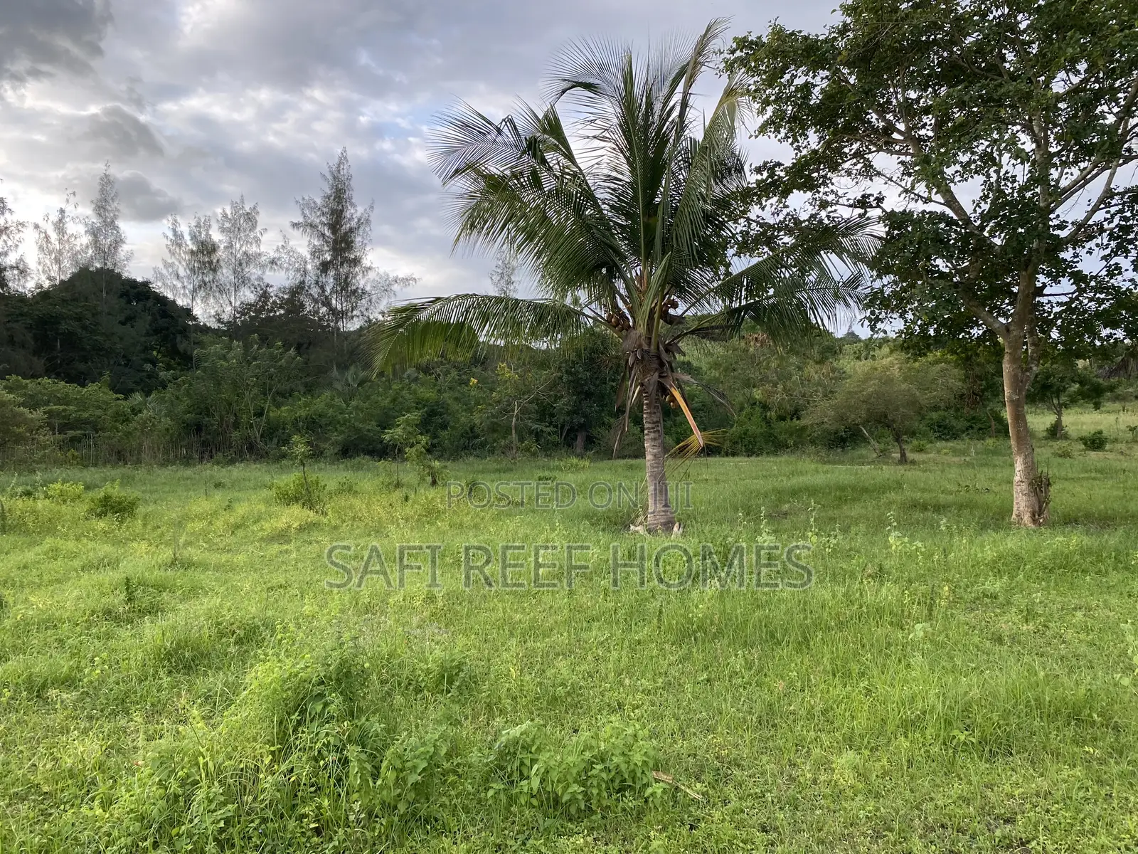 3 Acres for Sale Mtwapa Mtepeni Creek Side in Mtwapa