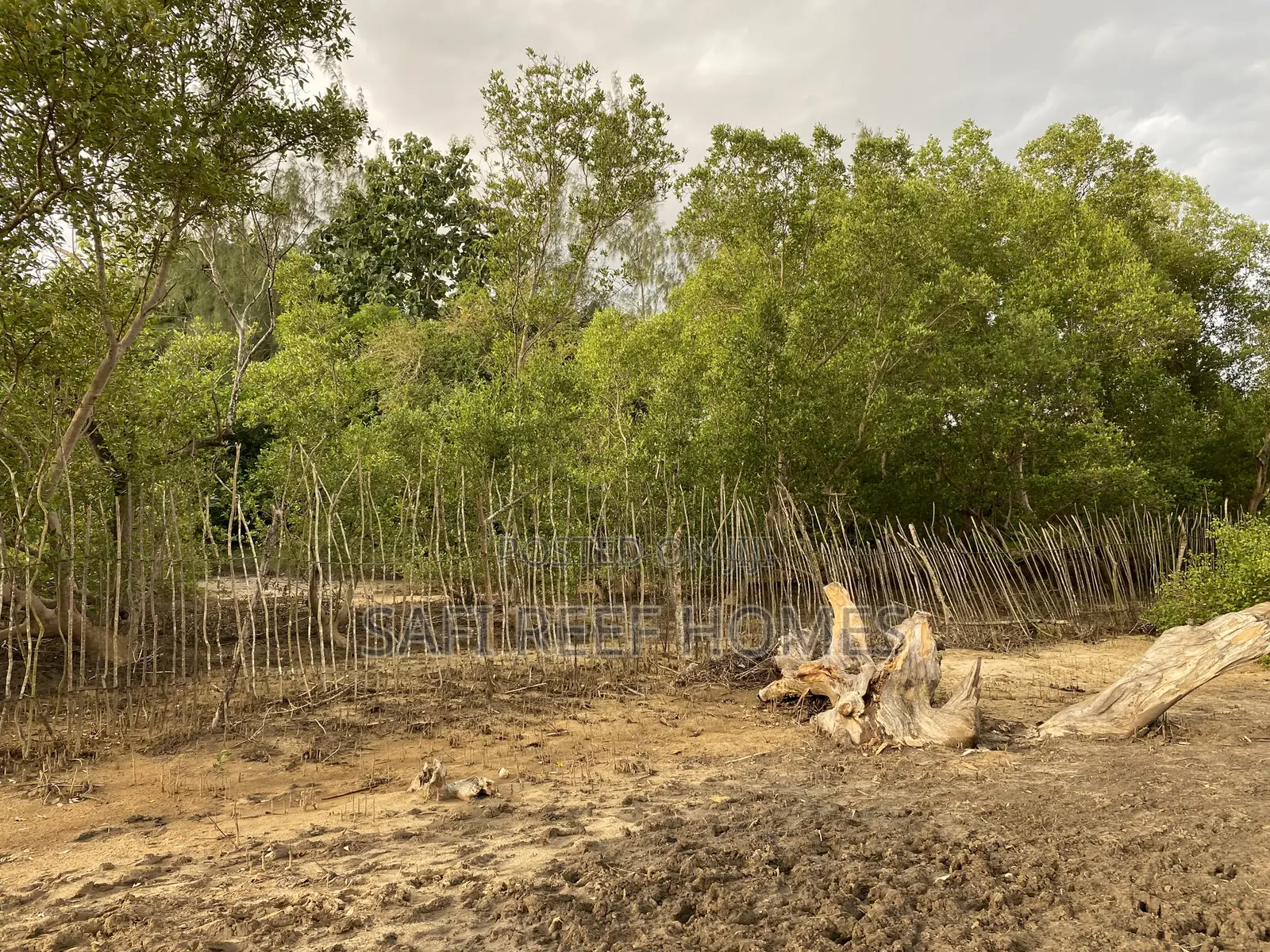 3 Acres for Sale Mtwapa Mtepeni Creek Side in Mtwapa