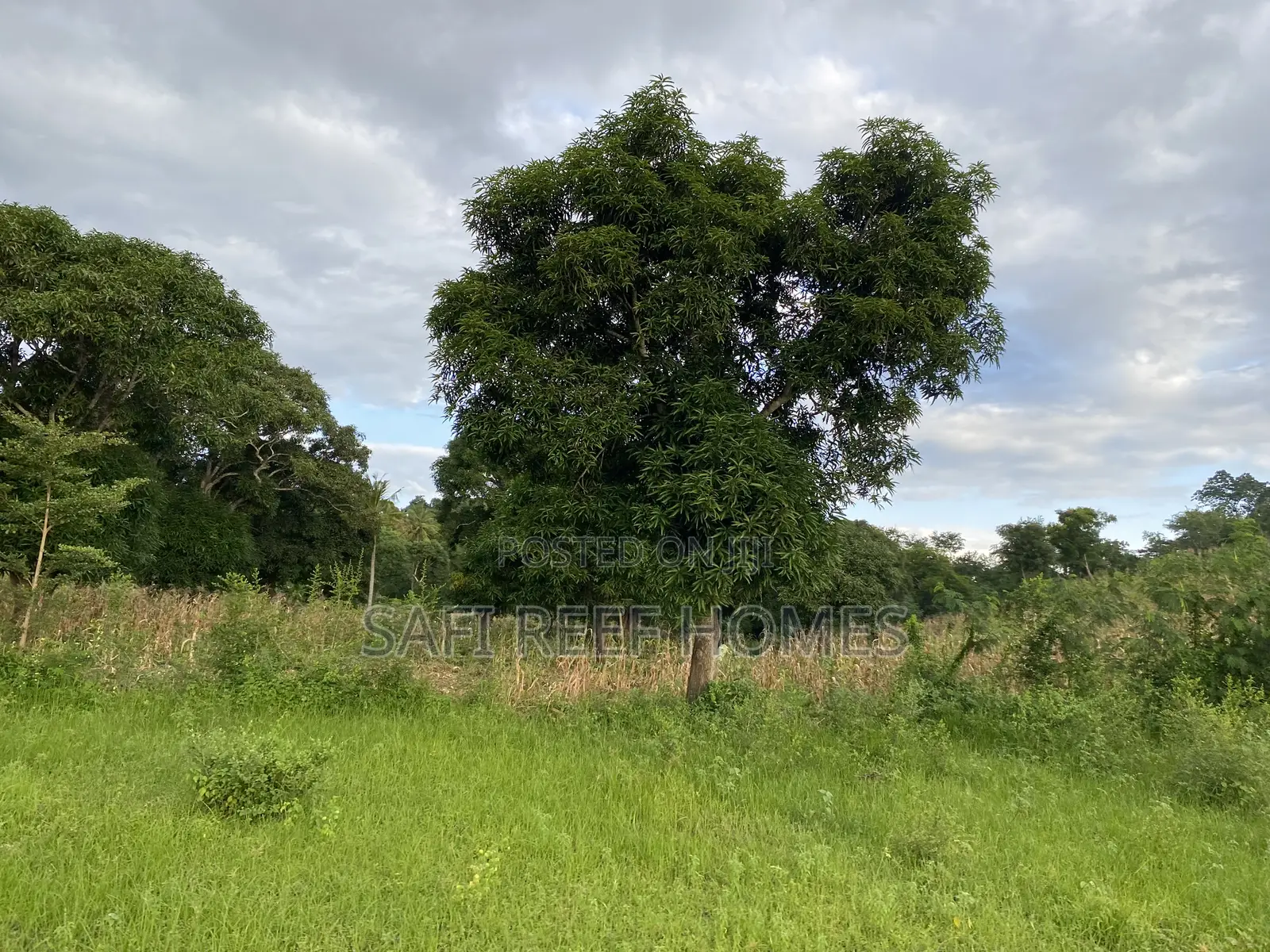 3 Acres for Sale Mtwapa Mtepeni Creek Side in Mtwapa