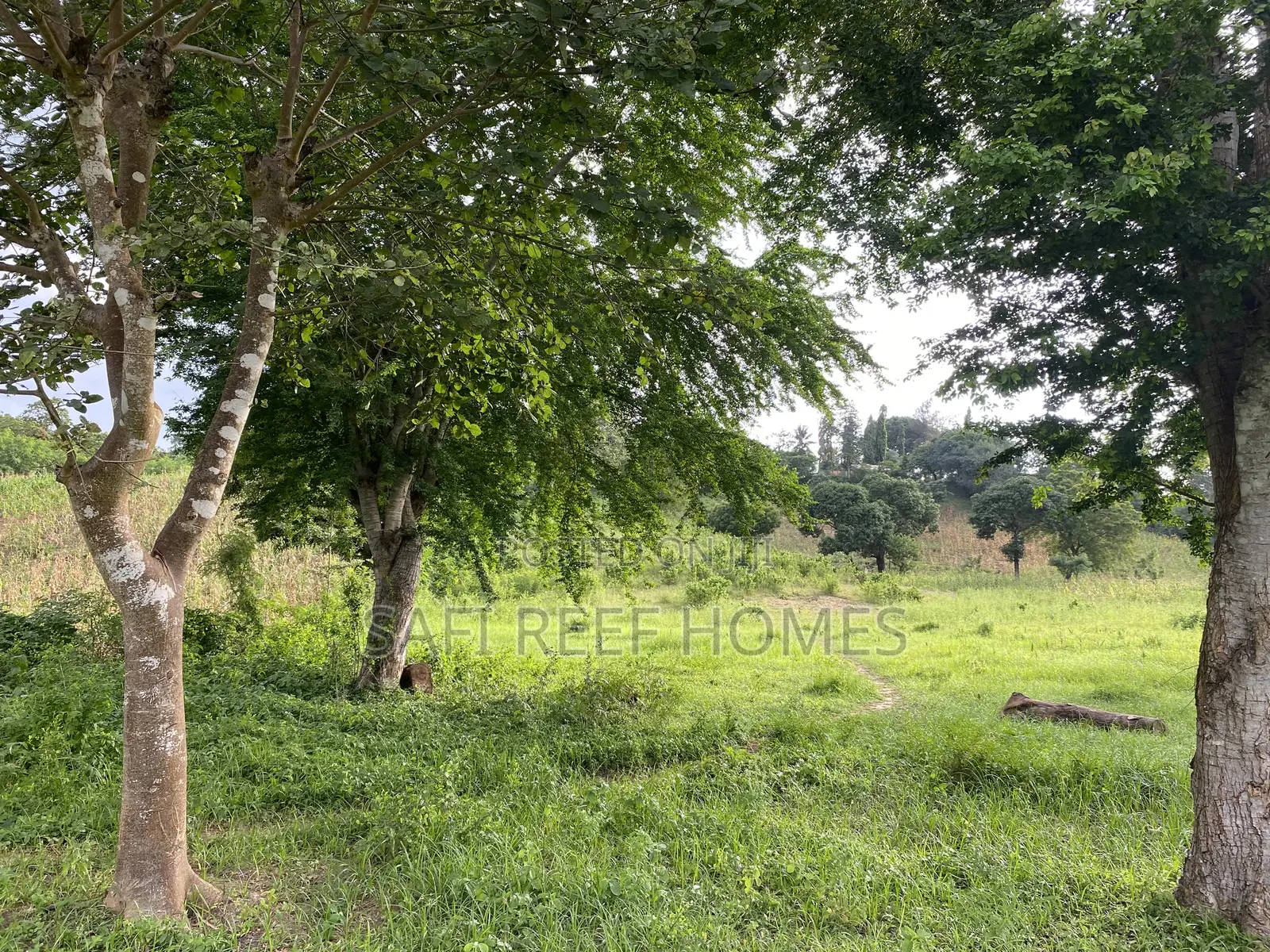 Prime Plot for Sale Mtepeni Facing the Creek View in Mtwapa