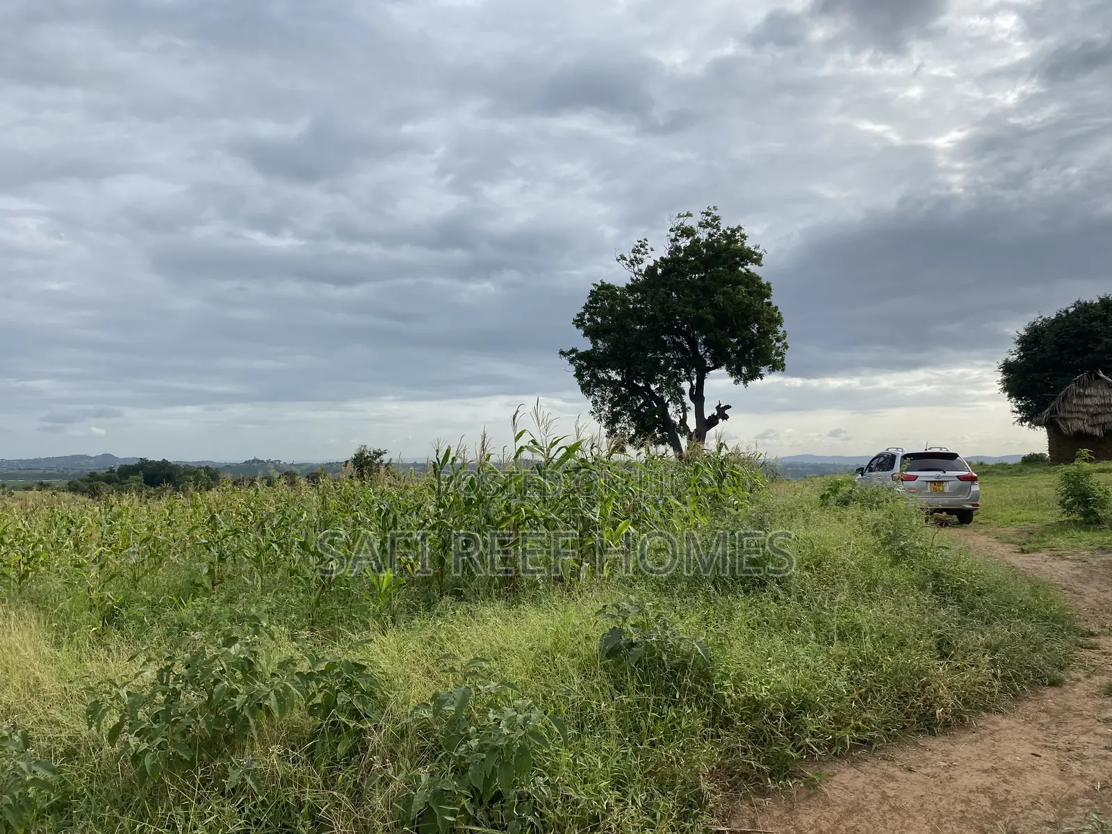 Prime Plot for Sale Mtepeni Facing the Creek View in Mtwapa