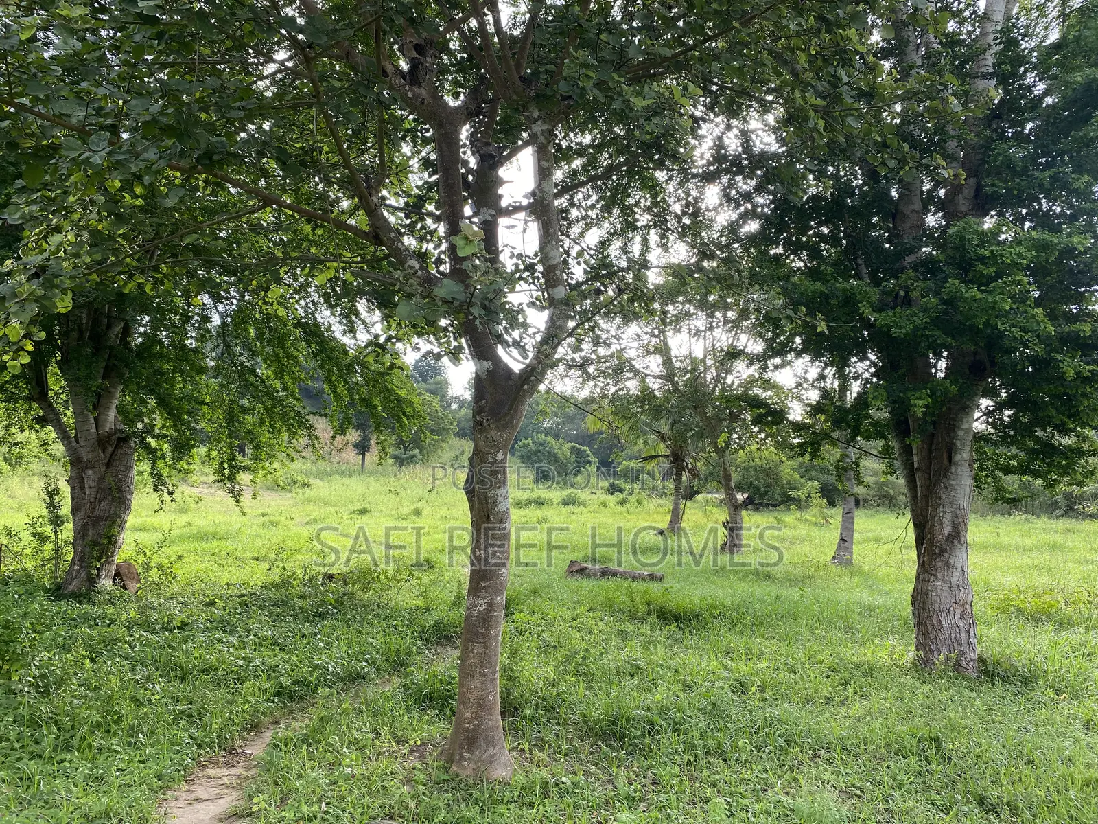 Prime Plot for Sale Mtepeni Facing the Creek View in Mtwapa