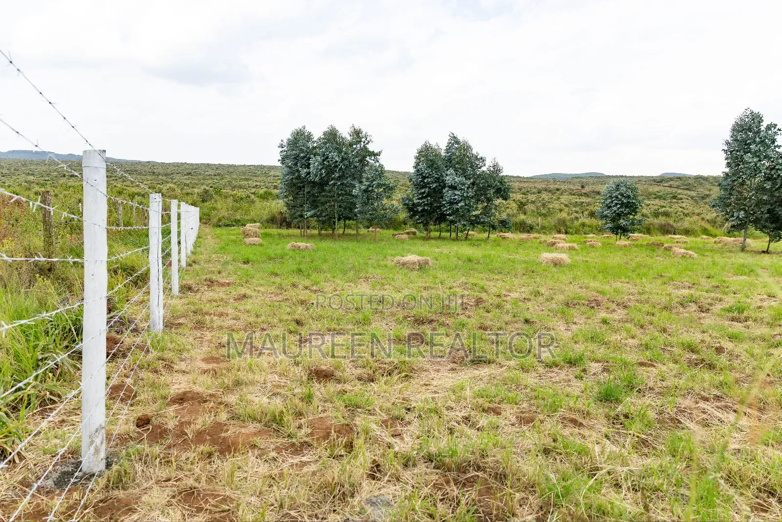 50x100 Plots for Sale - Nachu (Ngong Suswa Road) in Nachu