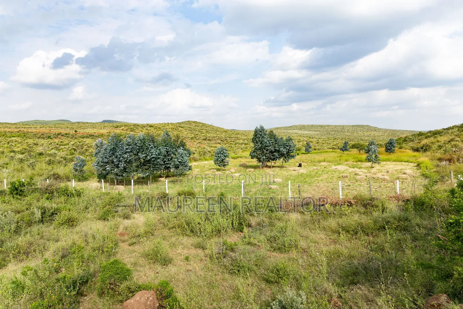 50x100 Plots for Sale - Nachu (Ngong Suswa Road) in Nachu