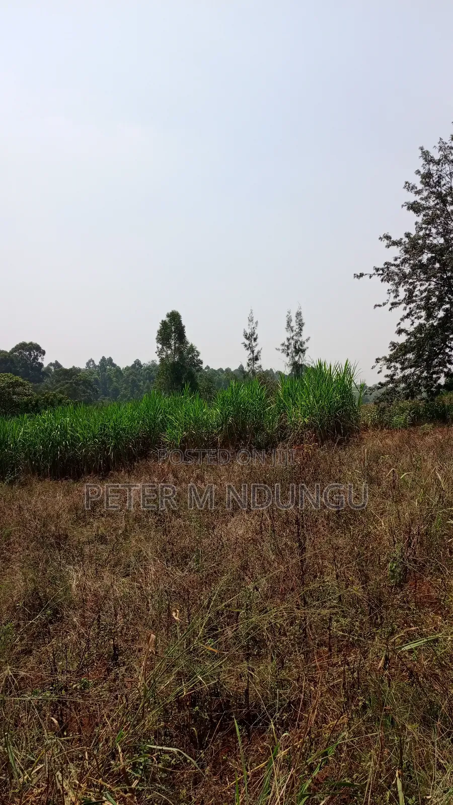 Residential Land on Sale, One Acre, Njathaini Road. Starehe in Kiambu / Kiambu