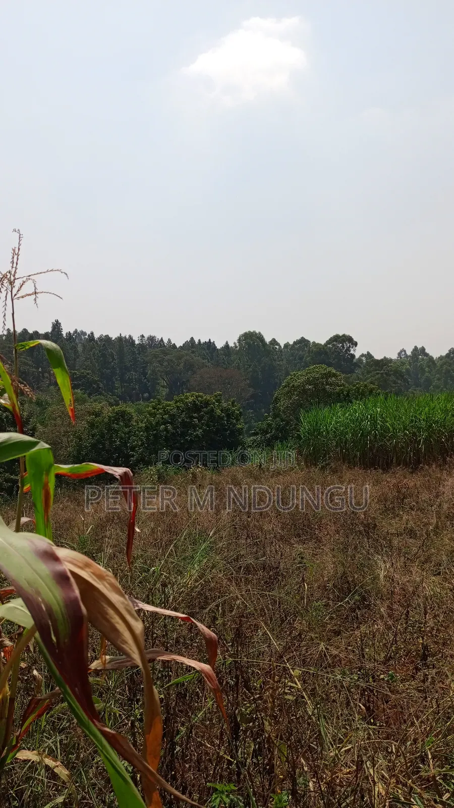 Residential Land on Sale, One Acre, Njathaini Road. Starehe in Kiambu / Kiambu