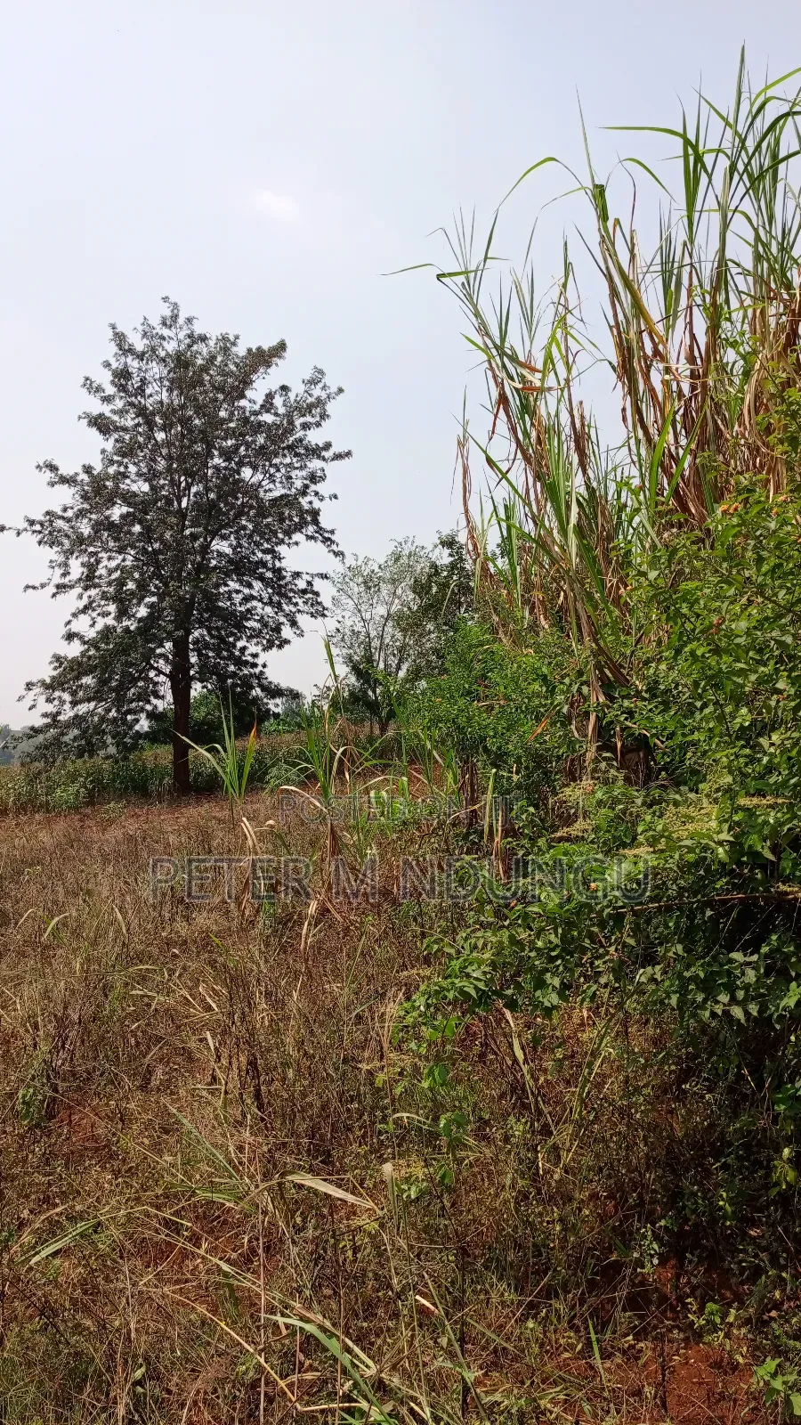Residential Land on Sale, One Acre, Njathaini Road. Starehe in Kiambu / Kiambu