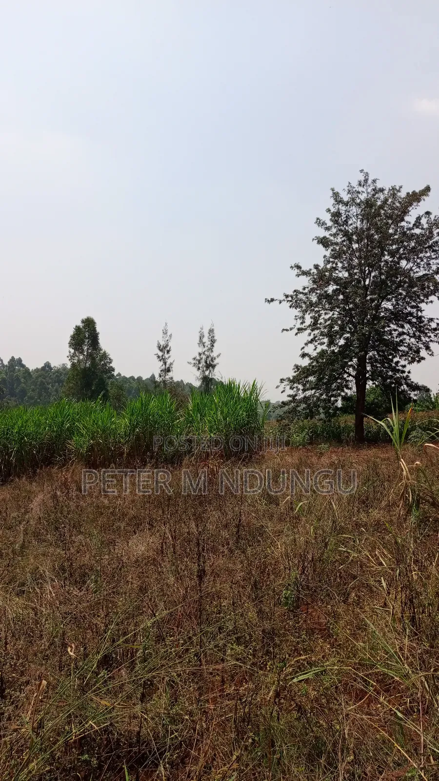 Residential Land on Sale, One Acre, Njathaini Road. Starehe in Kiambu / Kiambu