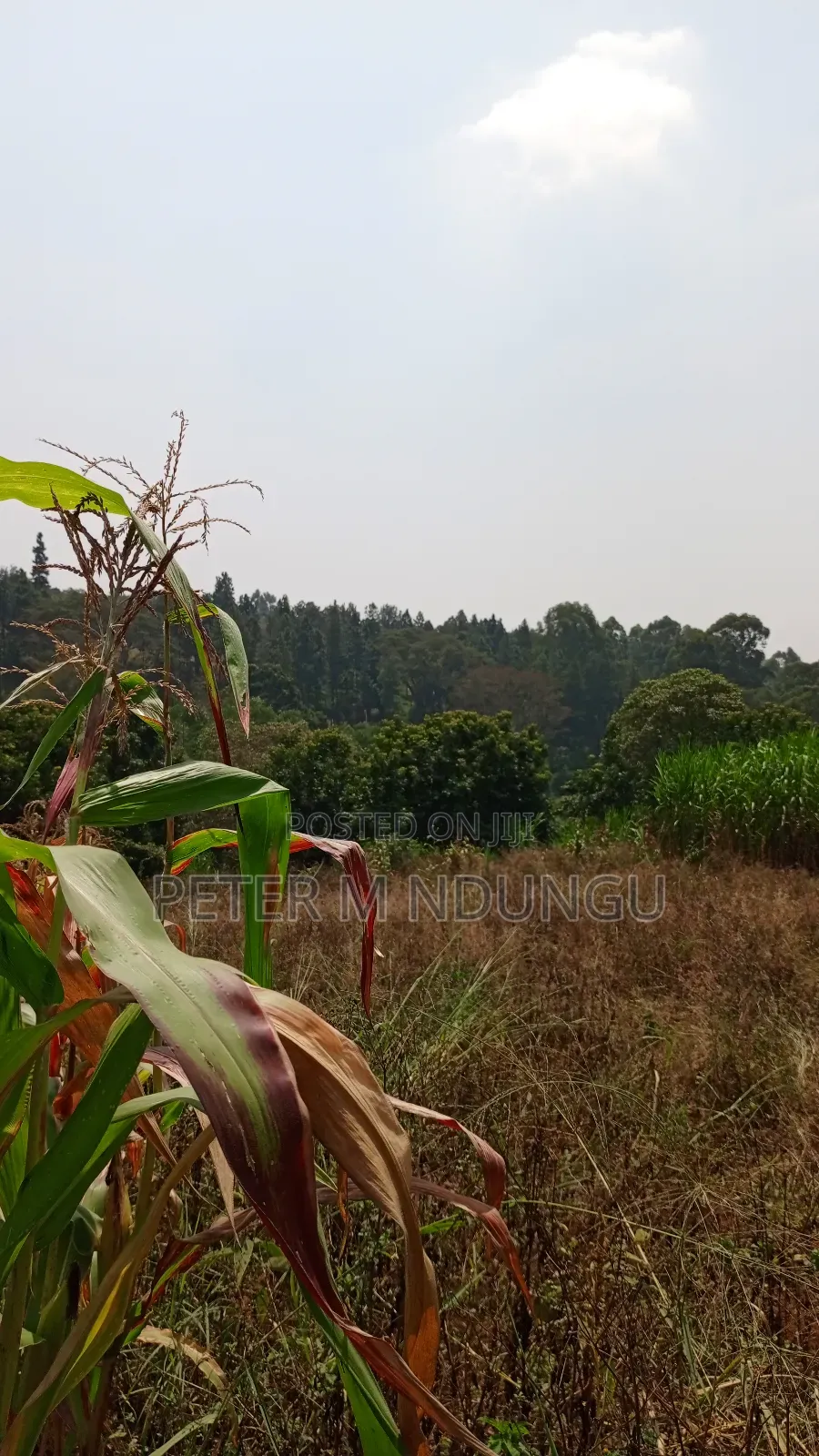 Residential Land on Sale, One Acre, Njathaini Road. Starehe in Kiambu / Kiambu
