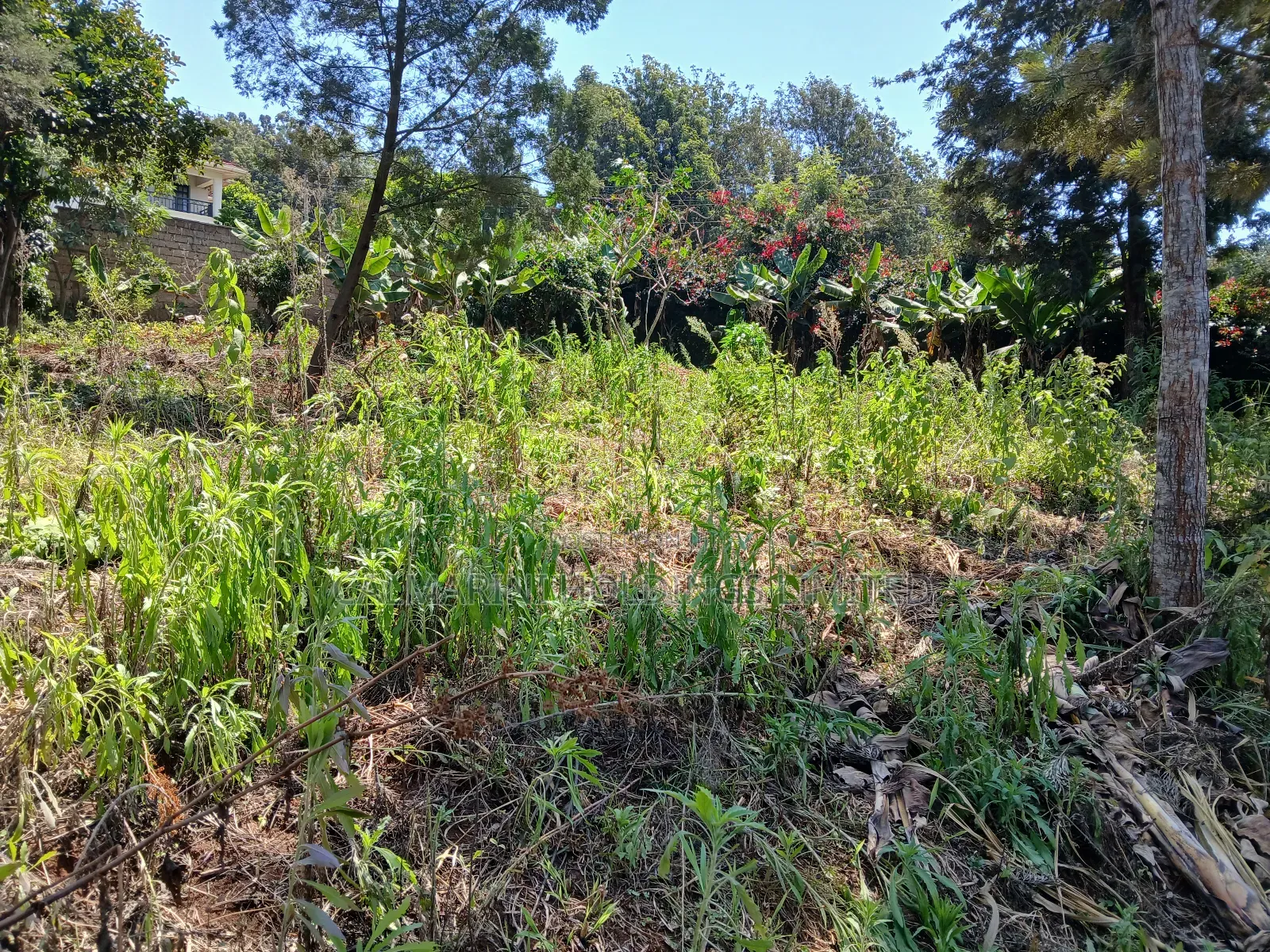 Kerarapon, Karen Half Acre Land for Sale-Gated Neighborhood in Kerarapon