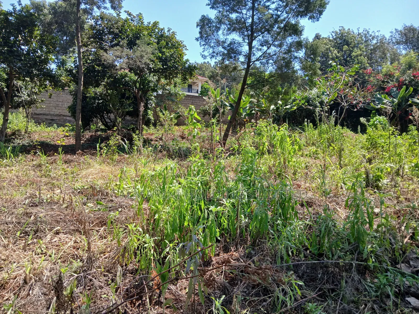 Kerarapon, Karen Half Acre Land for Sale-Gated Neighborhood in Kerarapon