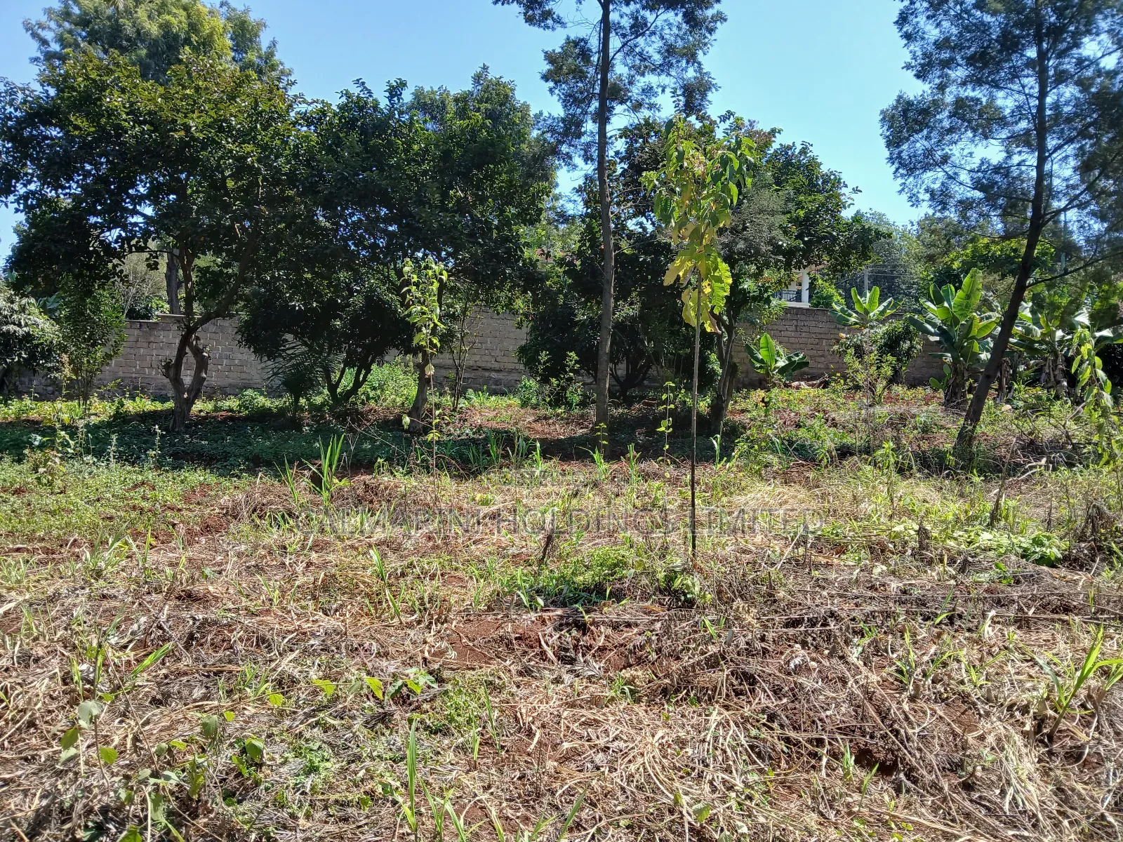 Kerarapon, Karen Half Acre Land for Sale-Gated Neighborhood in Kerarapon