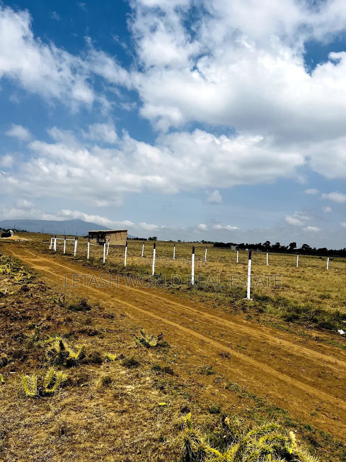 Good Views for a Good Price, , Along Maimahiu Highway in Lake View