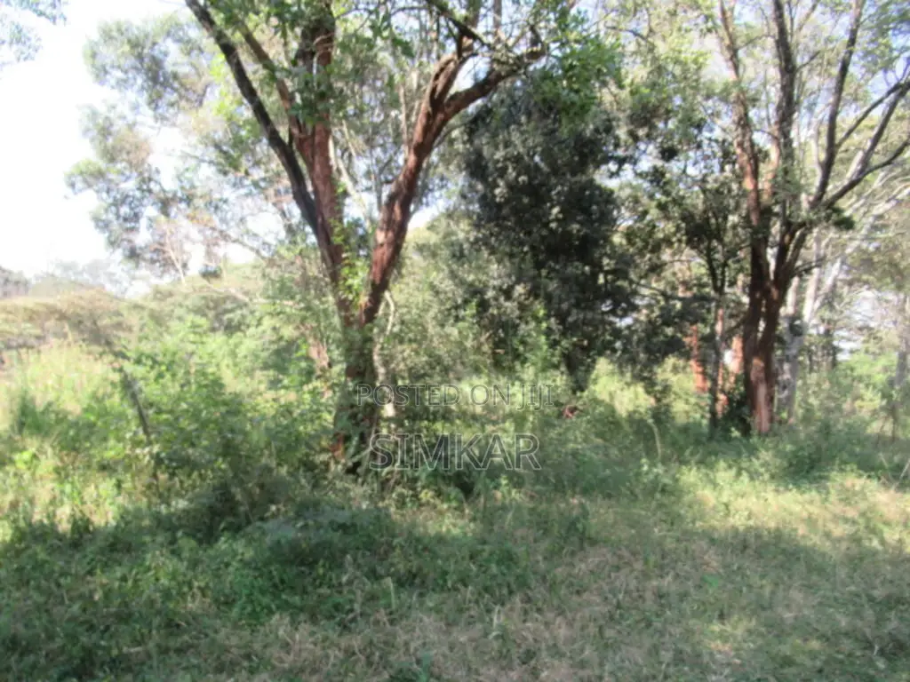 9 Acres of Land for Sale in Karen Hardy in Hardy