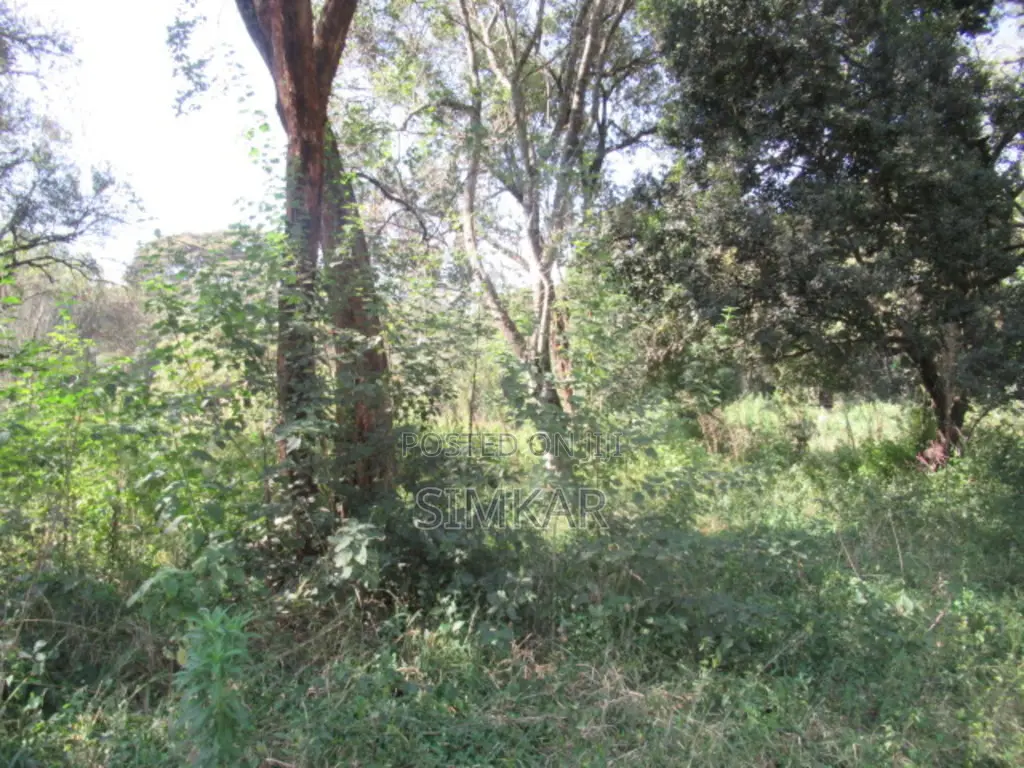 9 Acres of Land for Sale in Karen Hardy in Hardy