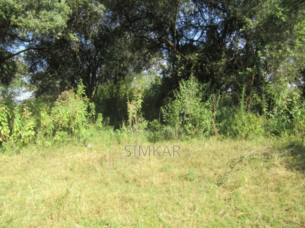 9 Acres of Land for Sale in Karen Hardy in Hardy