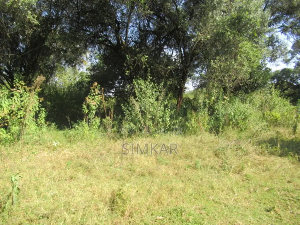9 Acres of Land for Sale in Karen Hardy in Hardy