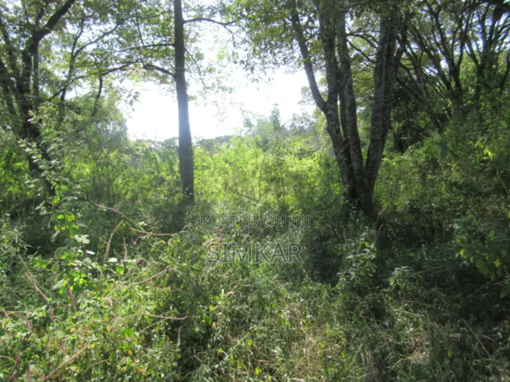 9 Acres of Land for Sale in Karen Hardy in Hardy