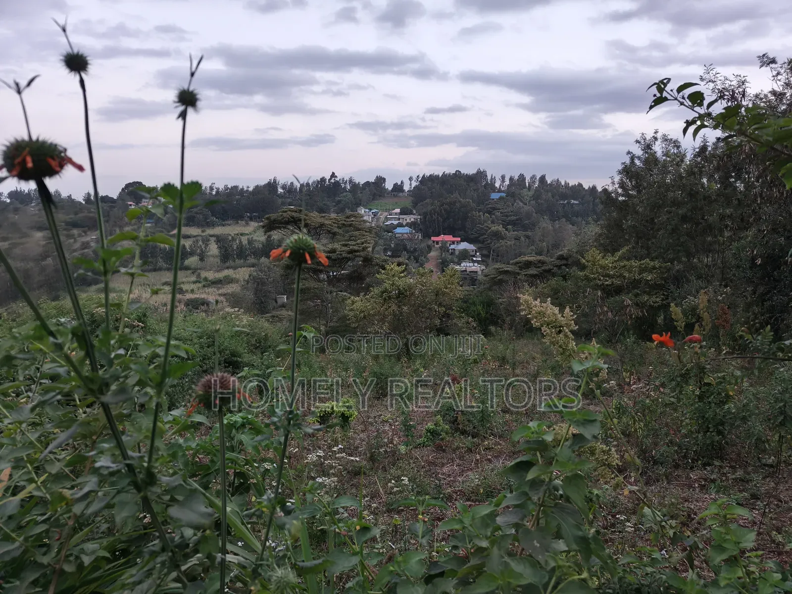 One Acre Piece of Land in Ngong, Olkeri 500 MTRS From Tarmac in Ol Keri