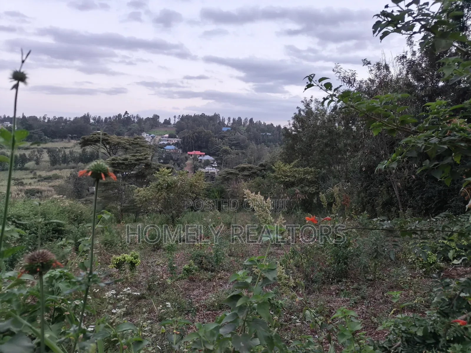 One Acre Piece of Land in Ngong, Olkeri 500 MTRS From Tarmac in Ol Keri