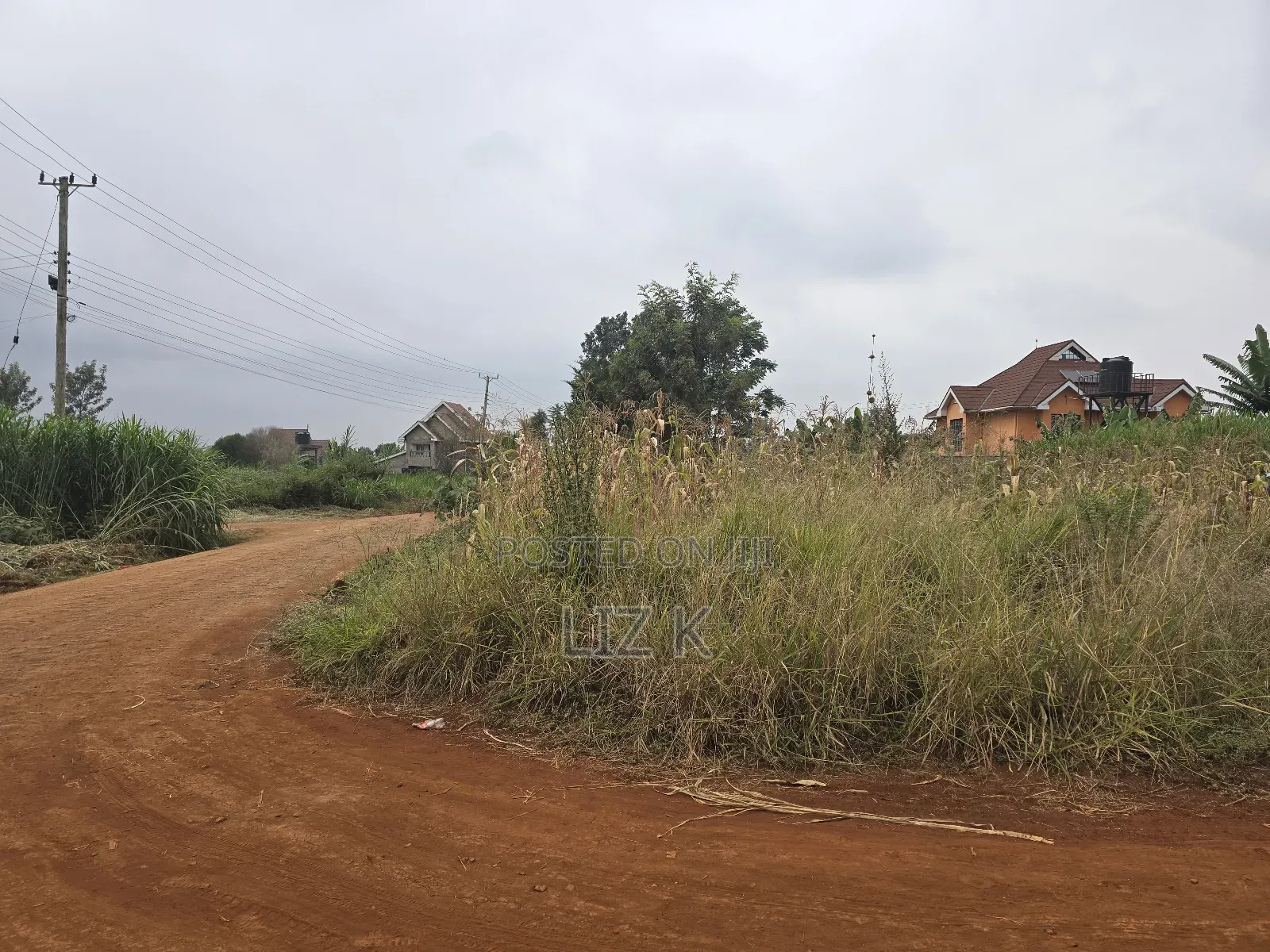 Dam Ridge Mugutha 50x100 Plots in Ruiru