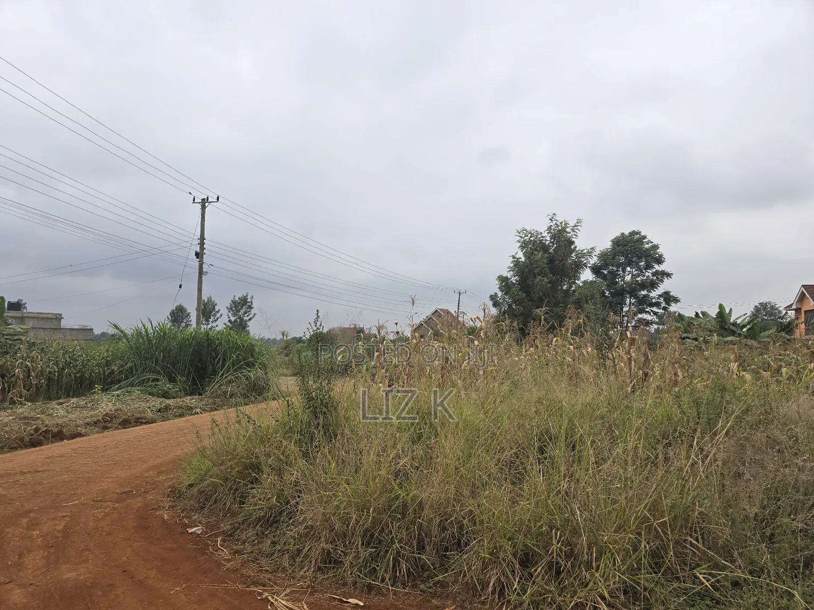 Dam Ridge Mugutha 50x100 Plots in Ruiru
