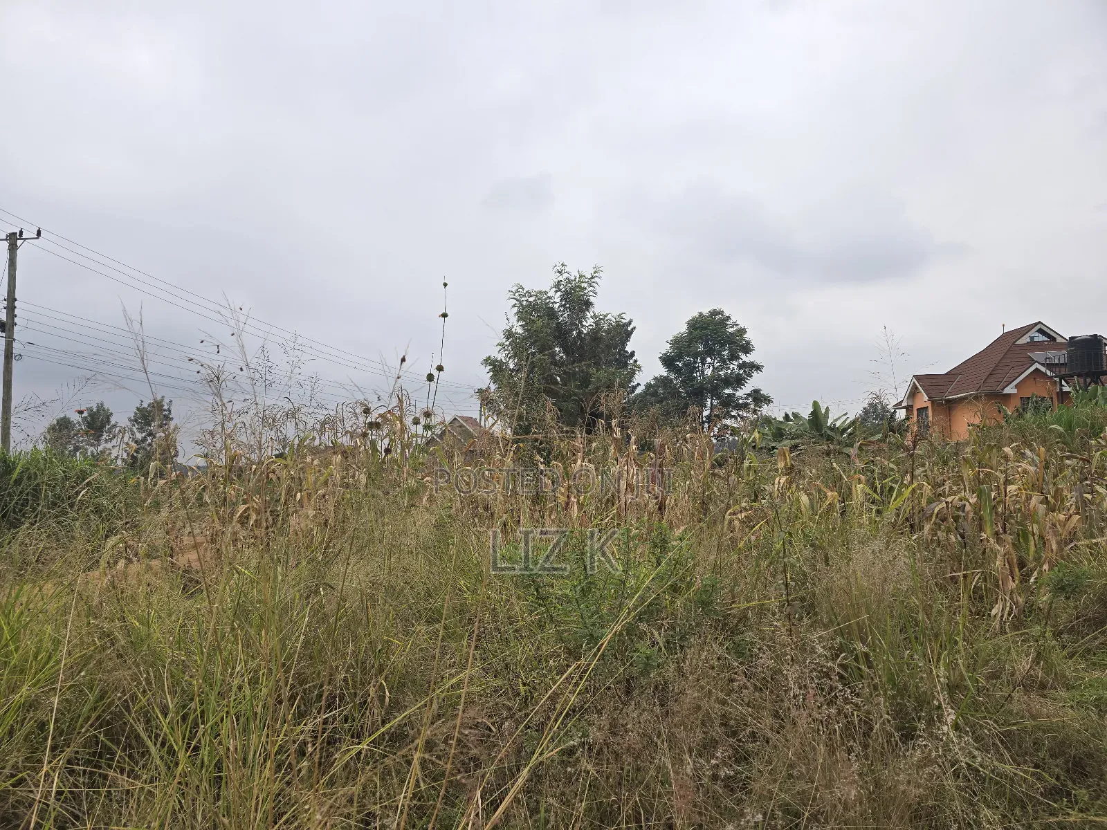 Dam Ridge Mugutha 50x100 Plots in Ruiru