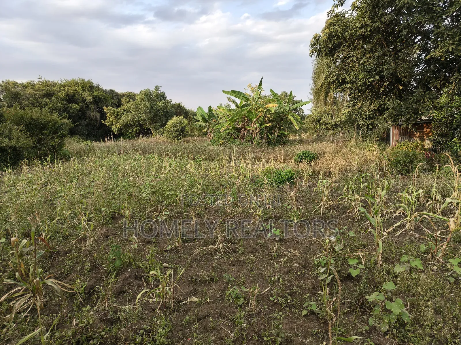 One Acre Piece of Land in Ngong, Olkeri Good Location in Ol Keri