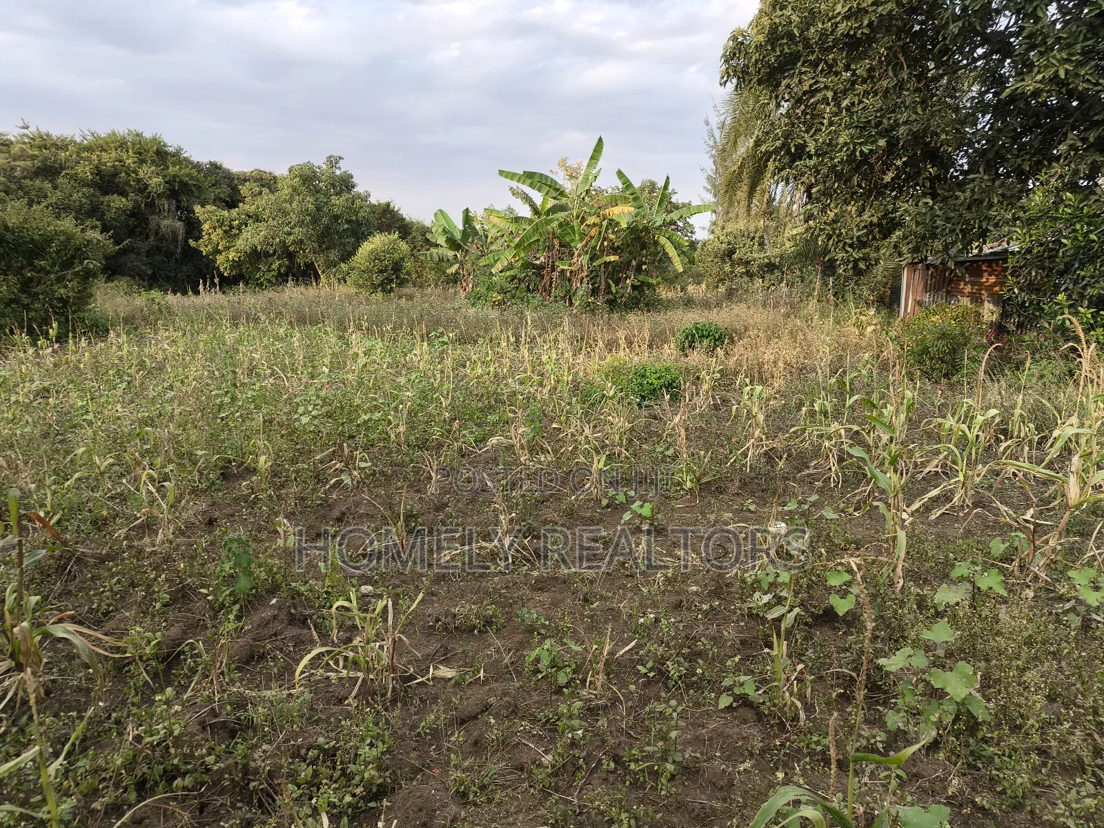 One Acre Piece of Land in Ngong, Olkeri Good Location in Ol Keri