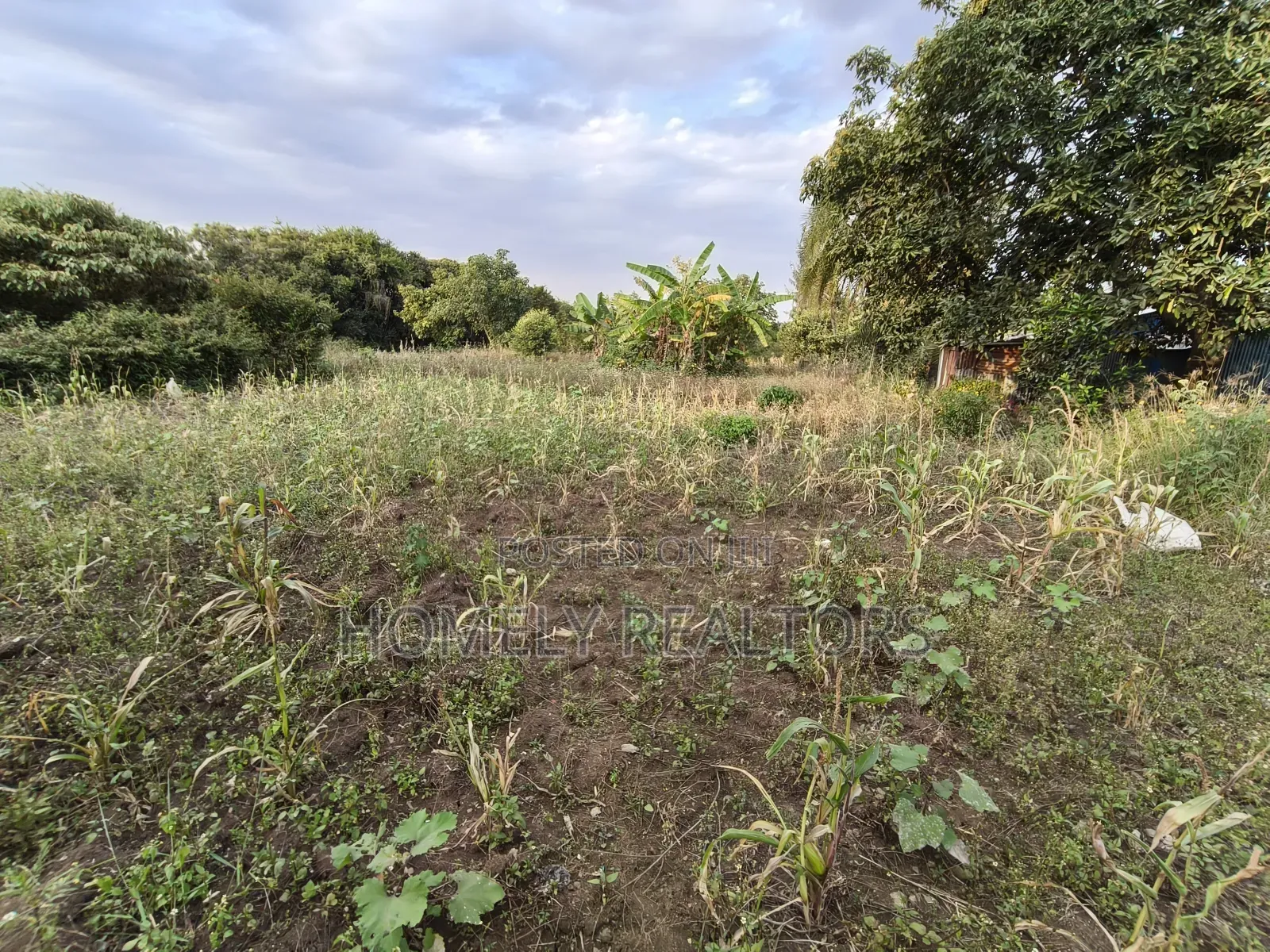 One Acre Piece of Land in Ngong, Olkeri Good Location in Ol Keri